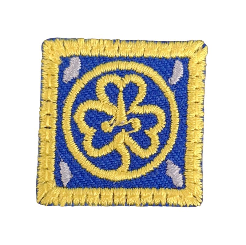 Horizonte Amarillo Guidismo