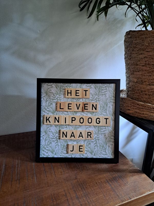Letterlijstje Knipoog