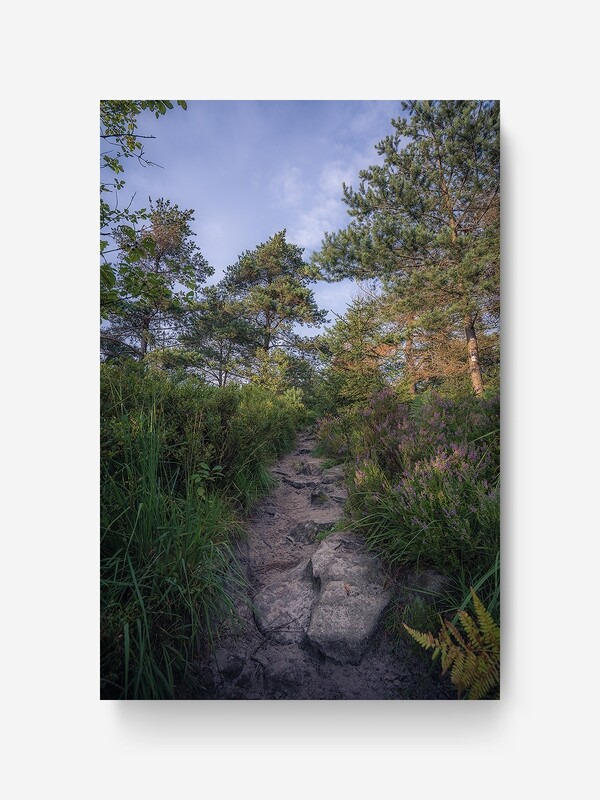 Bildlizenz Stony Path