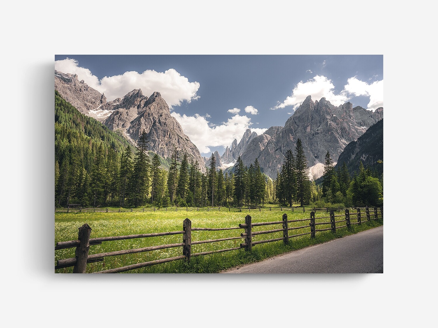 Image License Summer Day