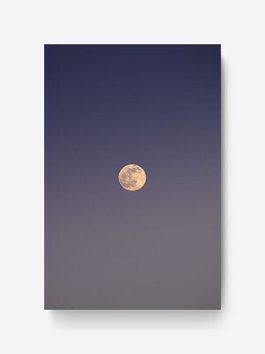 Bildlizenz Pastel Moon