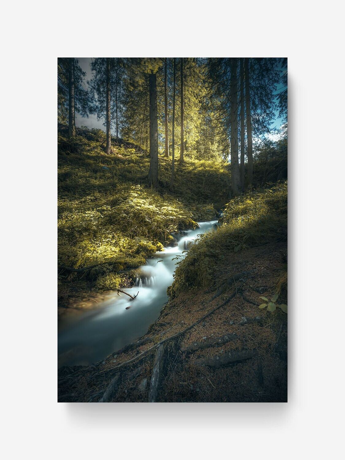 Bildlizenz Spring Mood
