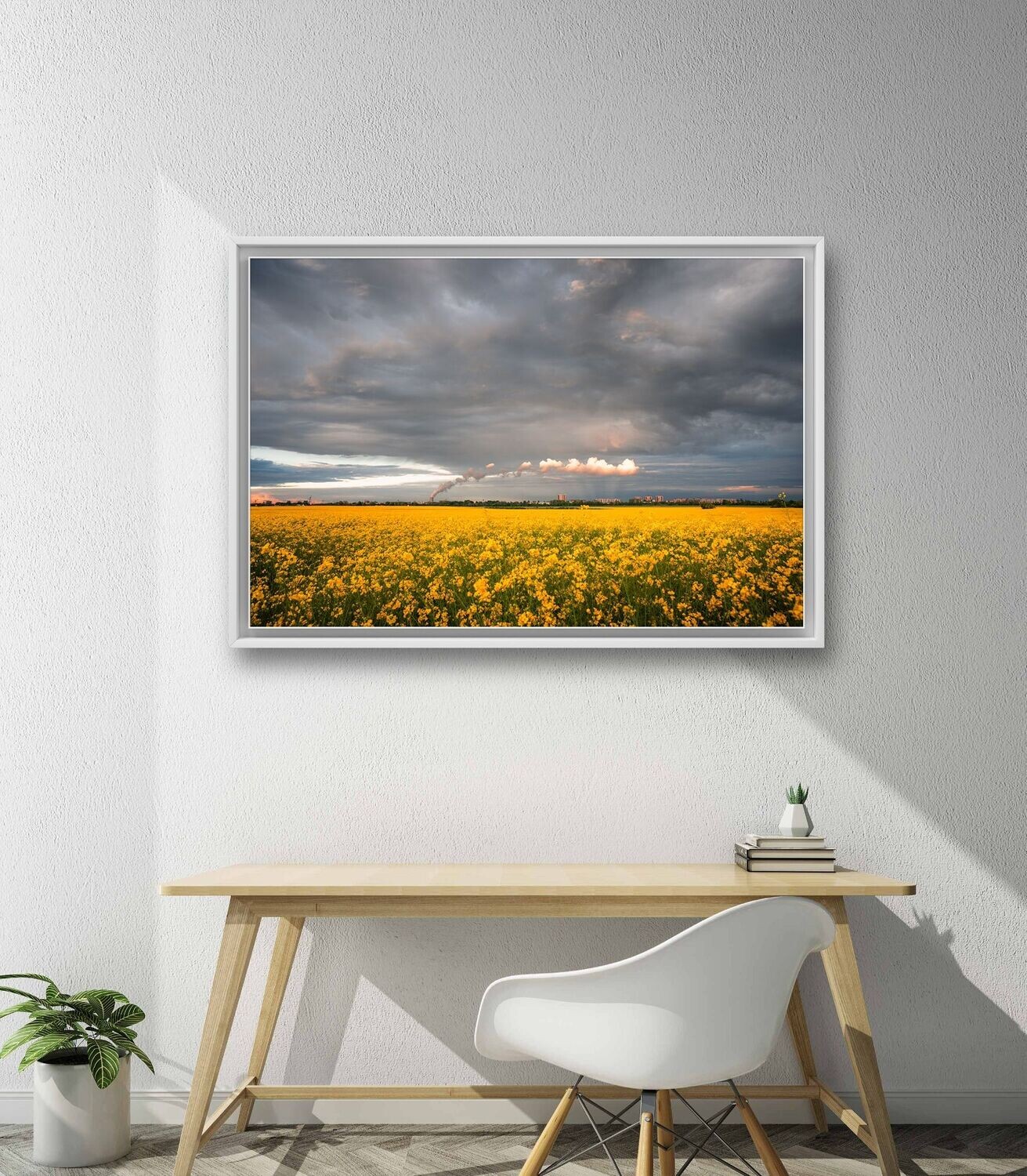 Wandbild Rapeseed Field - Alu-Dibond im weißen Schattenfugenrahmen