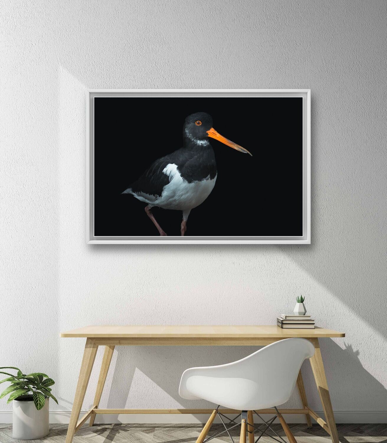 Wandbild Oystercatcher - Alu-Dibond im weißen Schattenfugenrahmen