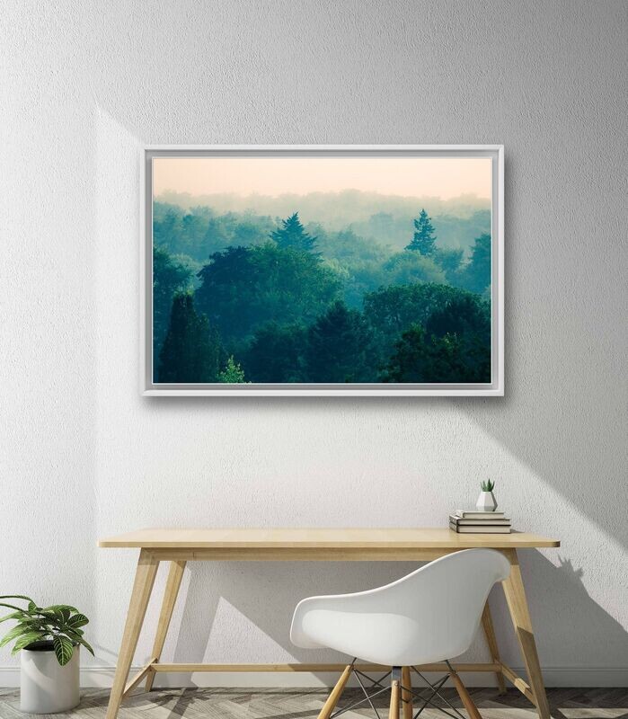 Wandbild Foggy Forest - Alu-Dibond im weißen Schattenfugenrahmen