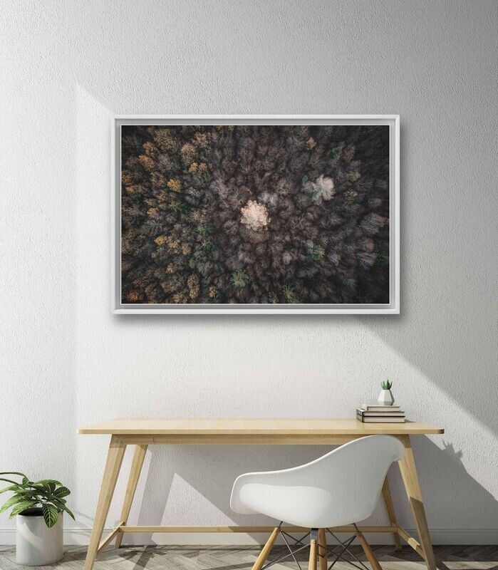 Wandbild In The Middle - Alu-Dibond im weißen Schattenfugenrahmen