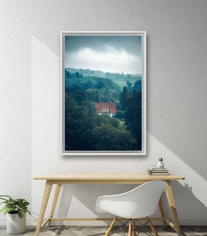 Wandbild Framed By Forest - Alu-Dibond im weißen Schattenfugenrahmen