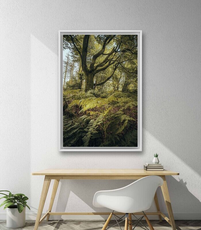 Wandbild Green Mess - Alu-Dibond im weißen Schattenfugenrahmen