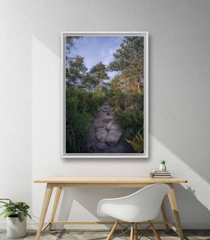 Wandbild Stony Path - Alu-Dibond im weißen Schattenfugenrahmen