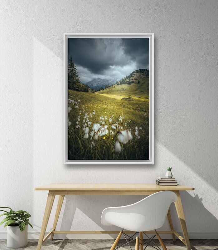 Wandbild Flower Meadow - Alu-Dibond im weißen Schattenfugenrahmen