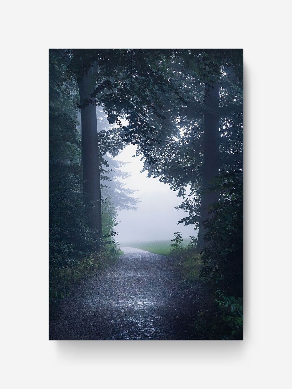 Bildlizenz Foggy Gate