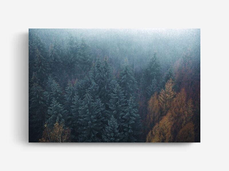 Bildlizenz The Fog