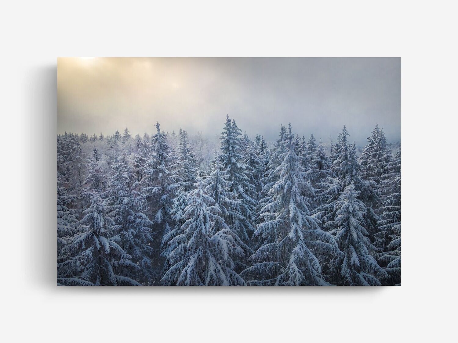 Bildlizenz Winter Wonderland