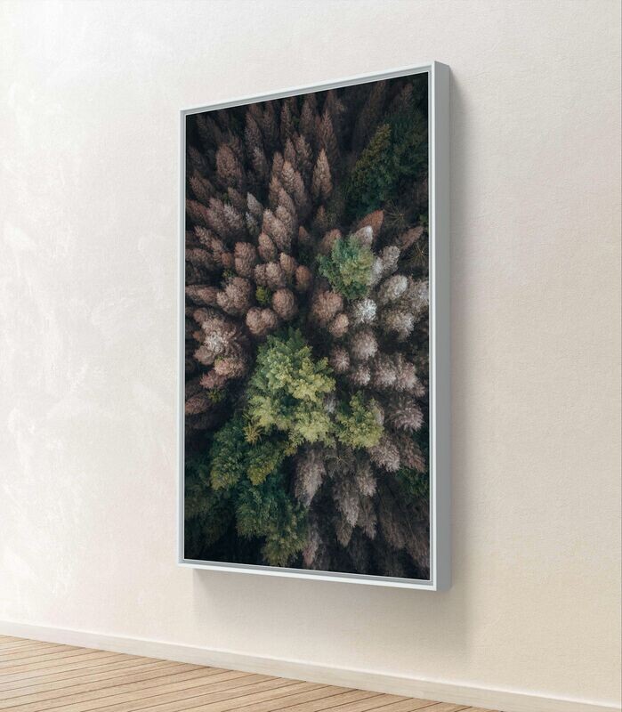 Wandbild The Forest - Alu-Dibond im weißen Schattenfugenrahmen - 3D-Ansicht