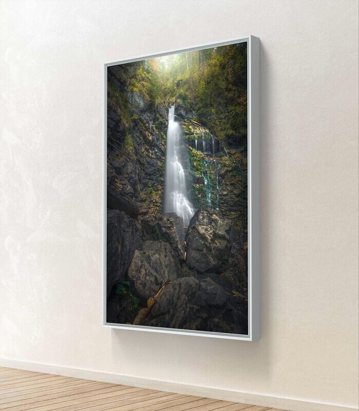 Wandbild In The Jungle II - Alu-Dibond im weißen Schattenfugenrahmen - 3D-Ansicht