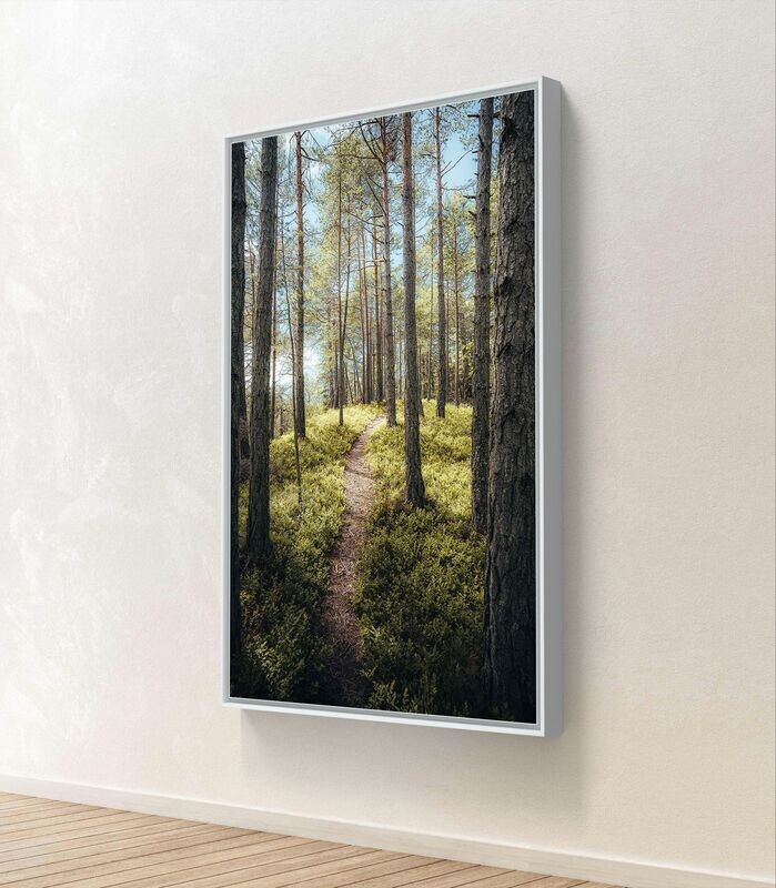 Wandbild The Path - Alu-Dibond im weißen Schattenfugenrahmen - 3D-Ansicht