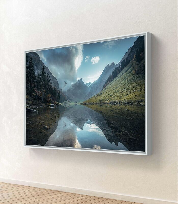 Mural Naturalis Mirabilia - aluminum dibond in a white shadow gap frame - 3D view