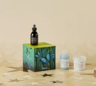 DAVINES KIT Natale Minu