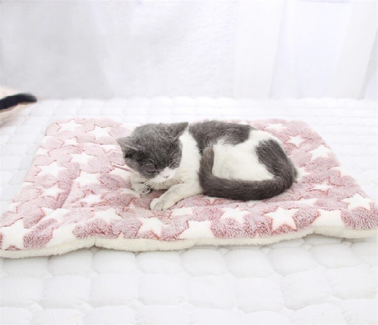 Pet Blanket Mat