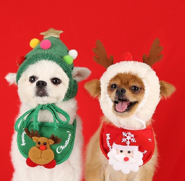 Christmas Pet Hat