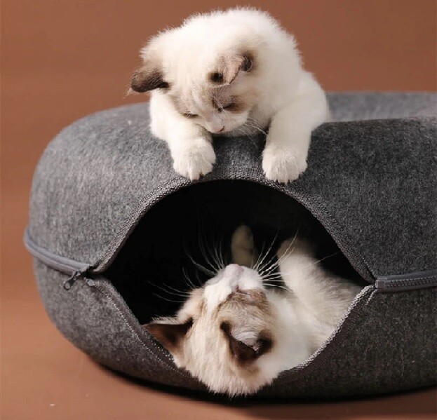 Pet Cats Tunnel