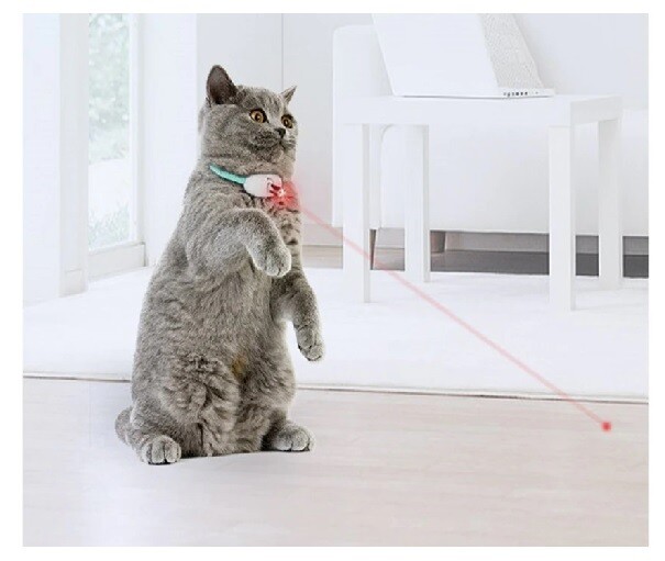 Smart Laser Cat Collar