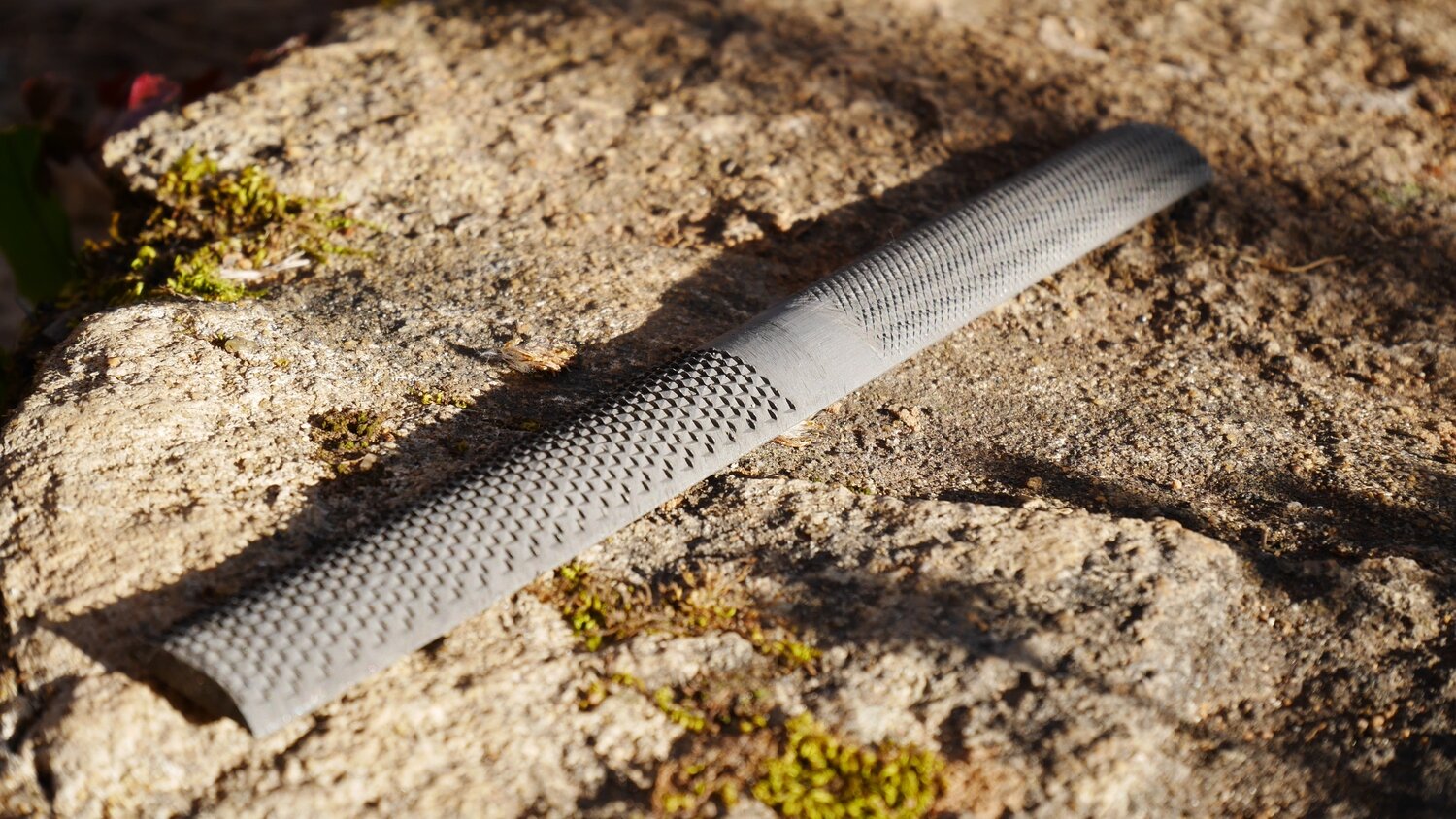 Lime/Râpe de cordonnier, forme demi-ronde de 20cm