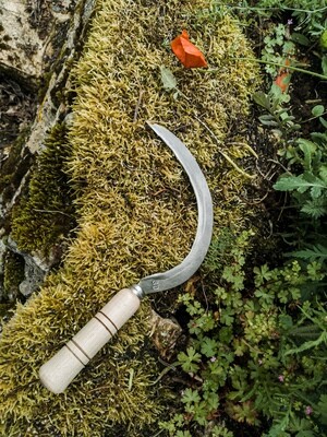 Petite faucille dentée Falci