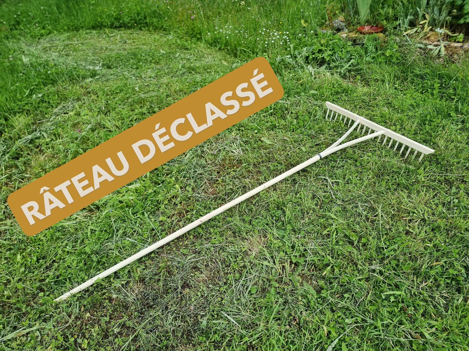 Déclassé - Râteau à foin en bois de hêtre et noisetier