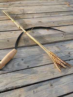 Une faucille dentée posée sur une table