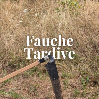 fauche tardive