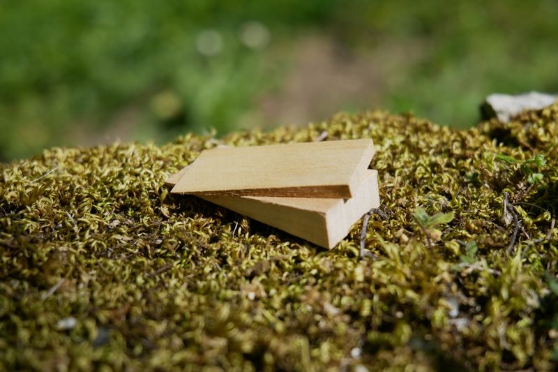 Coin ou cale en bois de hêtre