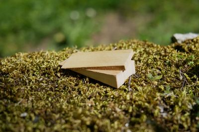 Coin ou cale en bois de hêtre