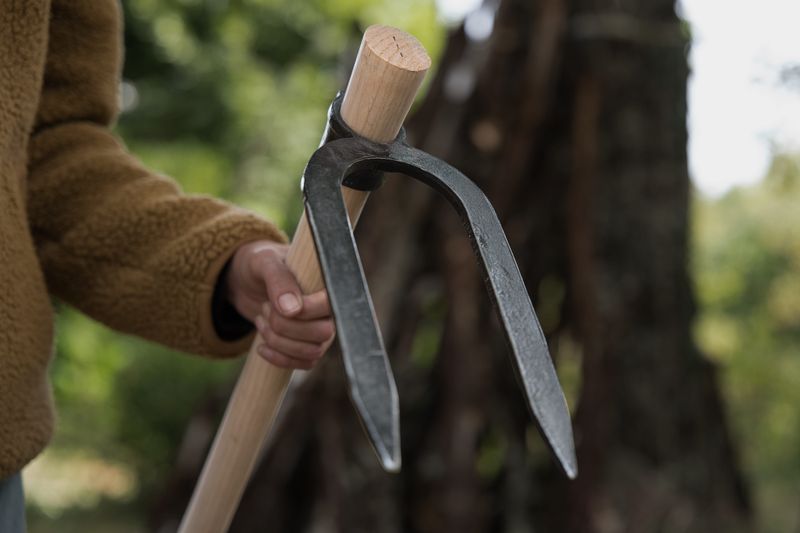 Houe "Bigard" à deux dents - avec manche en bois 140cm Houe "Bigard" à deux dents - avec manche en bois 140cm