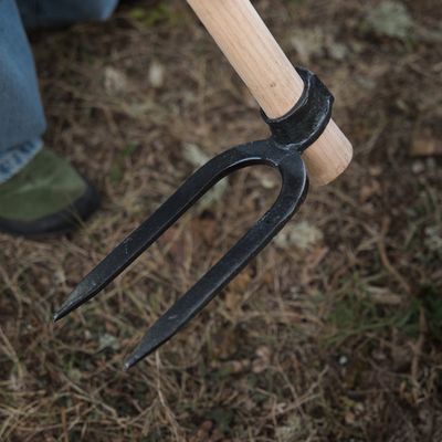 Houe "Bigard" à deux dents - avec manche en bois 140cm