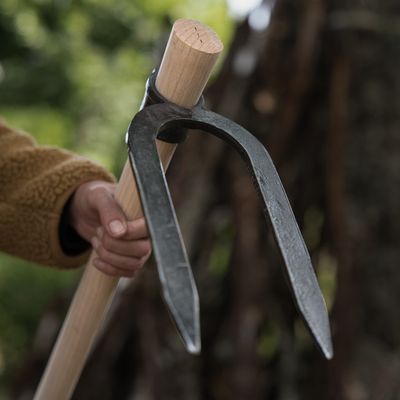 Houe "Bigard" à deux dents - avec manche en bois 140cm