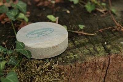 Pierre ronde naturelle - grain très fin - Rozsutec