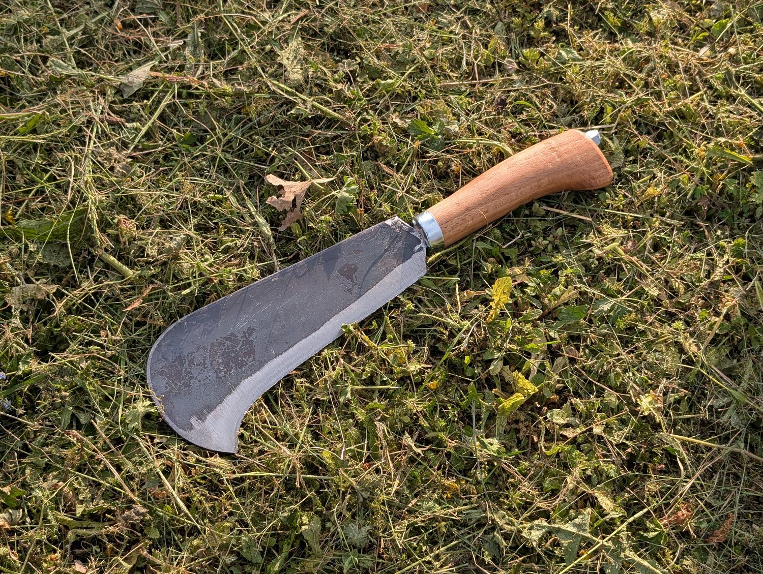 Serpe Rinaldi x La Frontière - type Newtown