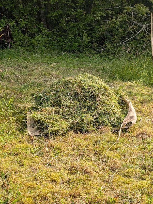 Bourras en toile de jute - Ramassage et déplacement de végétaux