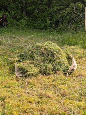 Bourras en toile de jute - Ramassage et déplacement de végétaux