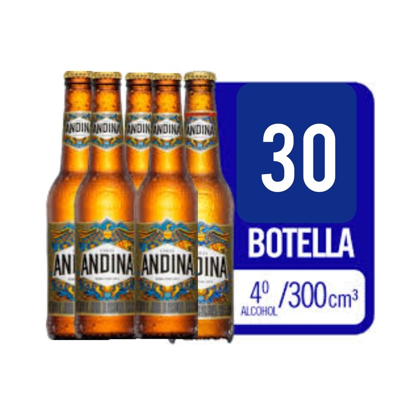 ANDINA 330CM³ CANASTA X30