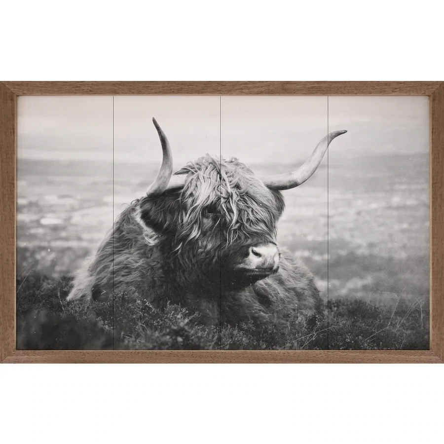 Grayscale Highland Laying Down