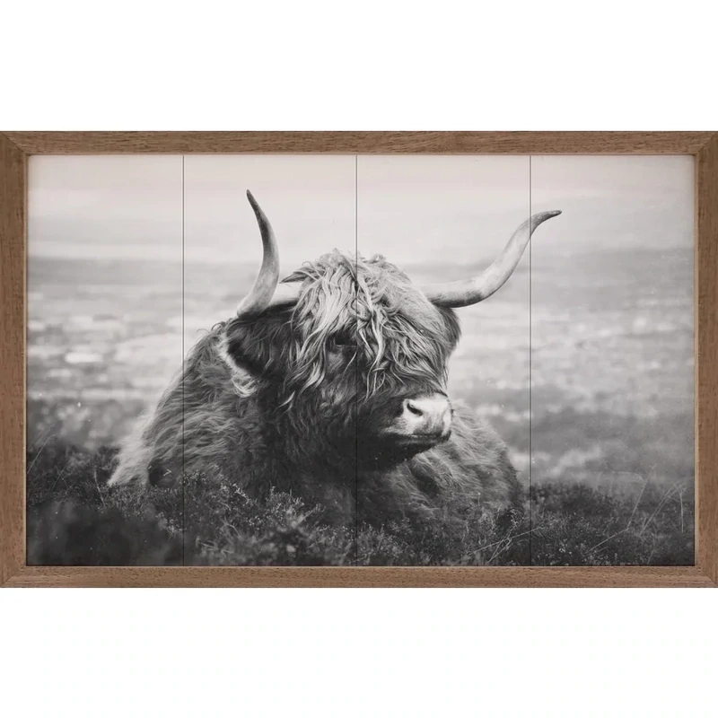 Grayscale Highland Laying Down
