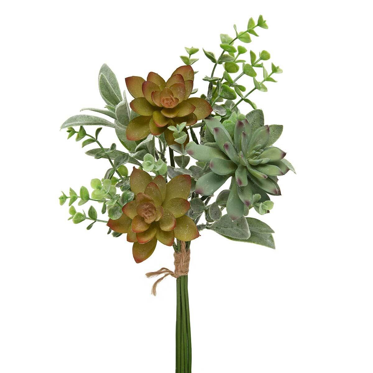 Bundle 8 Succulent w/ Lambs Ear