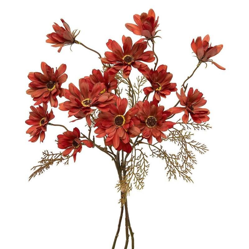 Bundle of 3 Daisy Orange