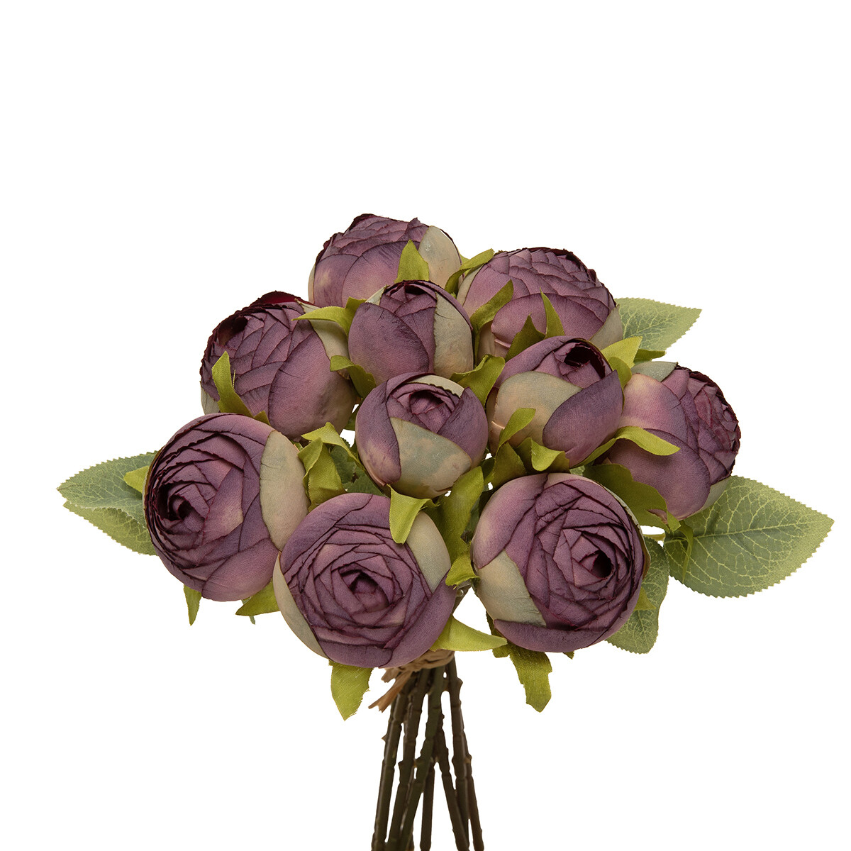 Bundle of 10 Cabbage Rose Purple
