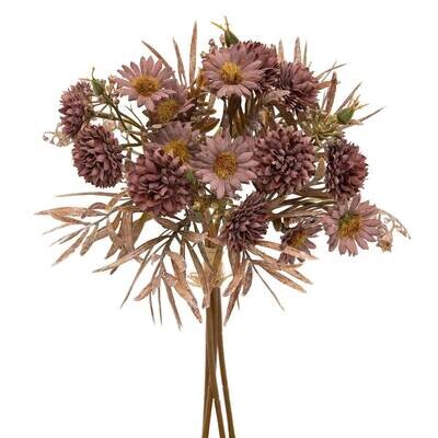 Bundle of 4 mixed Mum eggplant