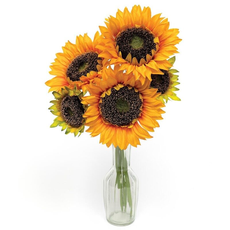 Bundle of 5 Golden Sunflower