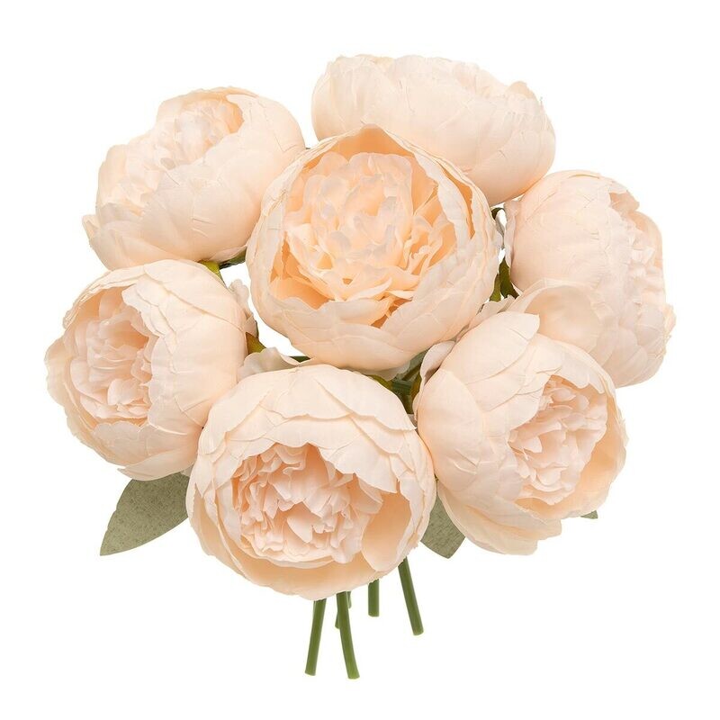 Bundle of 7 peony champagne