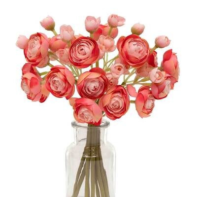 Bundle of 9 Ranunculus Coral